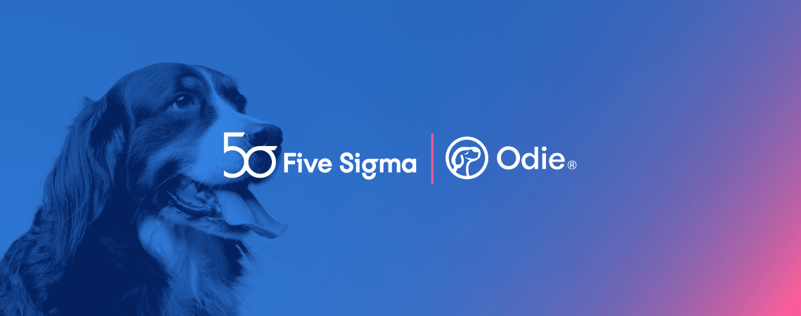 Odie Pet Insurance Case study